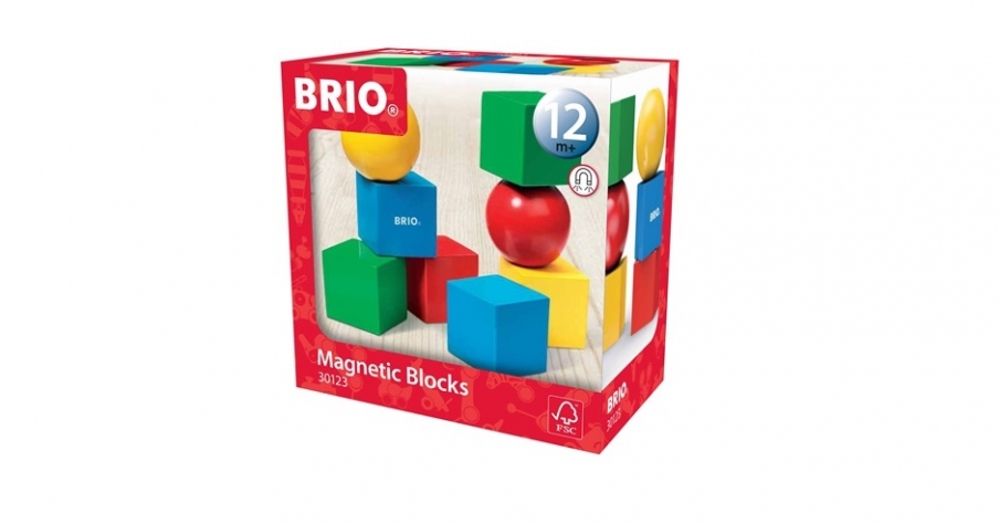 BRIO Кубики на магнитах 30123