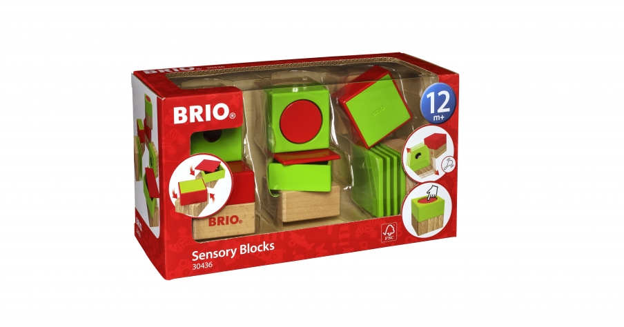 BRIO развивающие кубики 30436